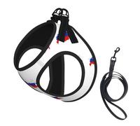 Russian Flag Map Print Soft Mesh Dog Harness and Leash Set Pet Puppy Cat Comfort Padded Vest No Pull Harnesses