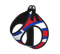 Russian Flag Pet Leash Vest For Small Dogs Cats Reflective Adjustable Soft Outdoor Walking Hiking Training