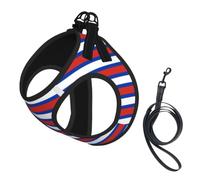 Russian Flag Pet Leash Vest For Small Dogs Cats Reflective Adjustable Soft Outdoor Walking Hiking Training