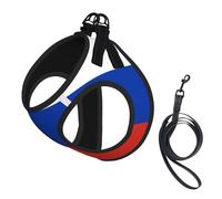 Russian Flag Print Adjustable Harness Leash Set For Cats And Dogs, Soft Breathable Kitten Puppy Mesh Vest With Reflective Design, Escape-Proof Lead For Small Pets Walking Training