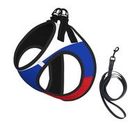 Russian Flag Print Dog Harness and Leash Set,Breathable Adjustable Escape Proof Vest for Cats Dogs