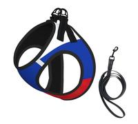 Russian Flag Print Soft Mesh Dog Harness and Leash Set Pet Puppy Cat Comfort Padded Vest No Pull Harnesses