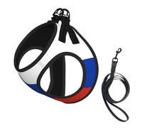Russian Flag Print Step in Dog Harness and Leash Set,Adjustable Reflective Harness for Small Dogs Cats