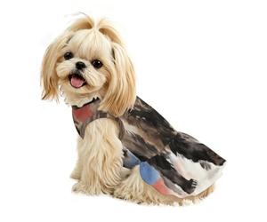 Russian Flag with Bear Dog Dress for Small to Medium Puppy