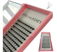 Russian Premade Lashes 10D D Curl 11-14 Mix Length Pre Made Lash Fans Volume Lashes Promade Lash Extensions Pre Made Lash Fans Eyelash Tray (10D 0.05 D Curl 11-14 Mix)
