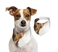 Russian Toy Terrier Puppy On White Background,Dog Bandanas Cotton Pet Scarf Adjustable Bibs for Pet,M