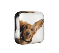 Russian Toy Terrier Puppy On White Background, Sanitary Pad Storage Bag, Pad Holder Bag with Zipper, Change Purse