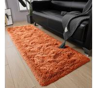 (Rust, 60 x 220 cm) Shaggy Non Slip Rugs Bedroom Living Room Area Rugs Hallway Runner Fluffy Carpets Bath Door Mats