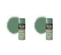 Rust-Oleum AE0040019E8 400ml Painter's Touch Spray Paint - Sage Green Gloss (Pack of 2)