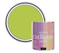 Rust-Oleum Key Lime Gloss Radiator Paint 750Ml