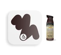 Rust-Oleum Universal All Surface Spray Paint Wood Metal Concrete Brick Plastic