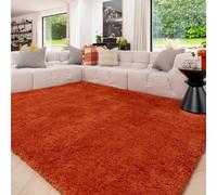 Rust Orange Machine Washable Warm Insulating Soft Cosy Touch Plush Thick Shaggy Rug for Bedroom Livingroom Hallway 160cm x 230cm (5ft 3" x 7ft 7")
