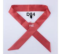 (rust,red, D84) Korean Style Solid Color Silk Satin Narrow Scarf - Versatile Fashion Accessory for Women