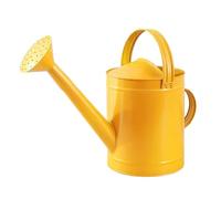 ＡＷＨＡＯ Rust-resistant Metal Watering Can, 4L Gardening Tool for Flowers And Household, golden