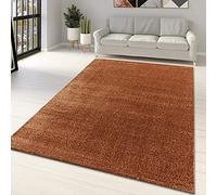 Rust Rug Modern Brown Copper Plain Monochrome Large Small Woven Carpets for Living Room Bedroom Solid Area Rugs (Rust Copper Rug, 80x150cm (2'6"x5'0"))