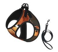 Rust World Map Print Reflective No Choke Pet Vest Harness,Adjustable Soft Padded Dog Harness With Easy Control Handle