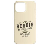 Rustic Acadia National Park Maine 1919 Case for iPhone 16 Pro Max