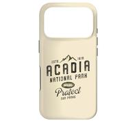 Rustic Acadia National Park Maine 1919 Case for iPhone 17 Pro