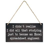 Rustic Decor Sign, Vintage Style I Didn'T Realize I Did All That Studying Just To Become An Wooden Decor Sign, Hanging Decorative Wood Plaque, Printed Wood Art Wall Decor 12X6In