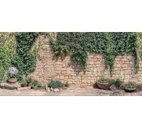 Rustic Ivy Stone Wall Garden Mural, Tapestry & Curtain Waterproof Outdoor Wall Hanging, Walled Garden Backdrop & Cottage Fence Decor W157.48 inches x H70.87 Inches
