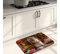 Rustic Kitchen Mats for Floor, Fanciful Squirrel Design Soft Mats, Cushioned Comfort Washable Non Slip Decor Rugs for Kitchen Sinks Laundryroom Bathroom 20x31 Inch