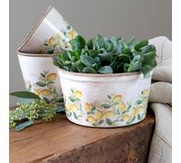 Rustic Lemon Pattern Plant Pot Cover Shallow Houseplant Bowl Mediterranean Dish