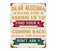 Rustic Metal Wall Plaque Dear Algebra You Have A Problem Funny Equation For Math Teacher Gift High School Classroom Decor Tin Sign 8 X 12 inch