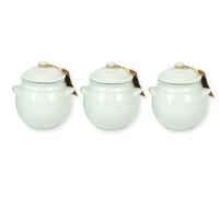Rustic Pastel Fully Dipped Terracotta Kitchen Dining Storage Jar w/ Lid (H) 15cm Set of 3 Verano Spanish Ceramics Light Green One Size