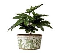 Rustic Plant Dish Planter, Green & White Flower Pattern Plant Pot Urn, Weathered Stoneware Pot, French Style White & Green Floral Pattern Planter Bowl, Succulent Planter