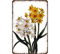 Rustic Retro Metal Tin Sign Beautiful Daffodils Narcissus Flowers Flower Wall Art Wall Sign Easter Mother's Day Wall Decor Gift Kitchen Home Parlor Wall Plaque Poster 12x16 Inch