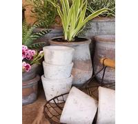 Rustic Small Seed Plant Pot Planter - Aged Grey Stone Terracotta - Rustic Weathered Small Vintage Planter House Plant Pot Cactus Bulb 7x6