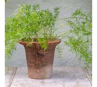 Rustic Terracotta Plant Pot with Frill Edge - Small, Fluted Clay Garden Planter, Terracotta Pie Crust Pot, Vintage Mediterranean Style Garden Indoor Outdoor Herb, Flower, Succulent Plant Cover