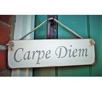 Rustic Wooden Signs Carpe Diem Wood Signs Wall Art Decor Kitchen Cafe Pub Gift 6x12 INCH