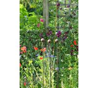 Rusty Metal Plant Support Stakes - Set Of 3