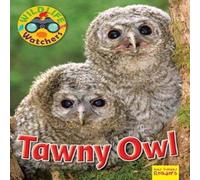 Ruth Owen Wildlife Watchers: Tawny Owl Paperback Book Ruth Owen Multicolor