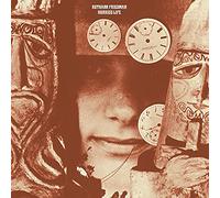 Ruthann Friedman - Hurried Life : Lost Recordings, 1965-1971 [VINYL]