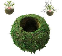 RUTYAUB Moss Ball Flower Pot, Natural Weave Moss Planter Bonsai, Creative Bonsai Pots for Home Garden Decor (9cm)