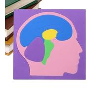 Ruwshuuk Human Body Puzzles for Kids | DIY EVA Science Project Model - Brain Anatomy Puzzles | for Boys Girls Kids Home School Indoor Kindergarten Travel Playroom