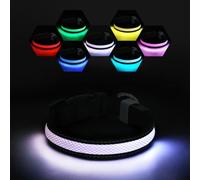 RUXAN Light Up Dog Collar - LED Light Flashing Dog Collar USB Rechargeable, Super Bright Lights with 7 Colors in the Dark, Safety Adjustable Pet Collar for Small Medium Large Dogs (S,White)