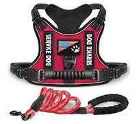RUYICZB Dog Harness Small Medium Large Dog, Service Dog Vest, No-Pull Dog Harness And Leash Set, Adjustable Reflective Tactical Dog Harness with Handle for Outdoor Walking Training,Red,Small