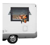 RV Caravan Camper Van Hinged Push out Window, Aluminum Alloy Window with Tempered Glass, Insect Screen and Handle, 600x450mm, 65° Opening Angle for RVs, Trailers, Campers, Pickup Trucks