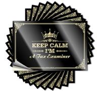 Rv Decor Sets Soft Area Decal | Keep Calm I'm A Tax Examiner Positive Durable Vinyl Sticker Easy Apply for Surfing(12X18CM)