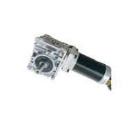 RV30 Worm Reducer Brushless DC Motor 24V 3000rpm 69W Gear Ratio 5 7.5 10 15 20 25 40 50 60 80:1 dual output shafts(0-150rpm)