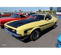 RV67699 - Revell 1:25 - Model Set 71 Mustang Boss 351