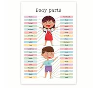 RVBLRDSE Educational Poster Human Body Parts Anatomy Science Chart for Classroom Homeschool Learning(Framed,16x24inch(40x60cm))