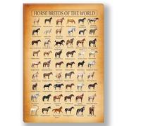 RVBLRDSE Horse Breed Illustrated Wall Chart - Vintage Encyclopedia Style Canvas Art for Bathroom, Dining Room, Hallway & Country Home Decor(Unframed,12x18inch(30x45cm))