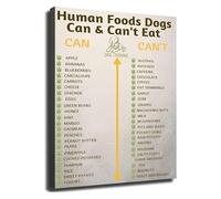 RVBLRDSE Human Foods for Dogs What They Can and Cannot Eat Chart Pet Canvas Wall-Art for Home Kitchen Decor(Unframed,16x24inch(40x60cm))