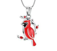 RVHAOODI Lovely Bird Cremation Urn Necklace for Ashes Red/Blue Bird Cremation Jewelry Ashes Locket Keepsake Pendant Necklace for Women-Red