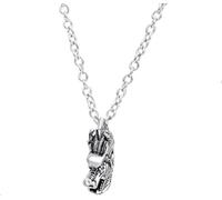 RVHAOODI Men, Chains Jewelry Men Pendant Unisex Dragon Pendant Zodiac Clavicle Chain