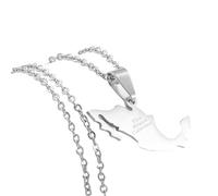 RVHAOODI necklfor women and men, Mexico Map with cities necklace